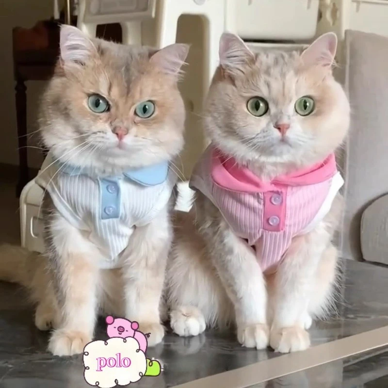เสื้อผ้าสุนัขและแมวฤดูร้อนบางป้องกันขนร่วงระบายอากาศเสื้อกั๊กสัตว์เลี้ยงปกตัดกันเสื้อโปโล