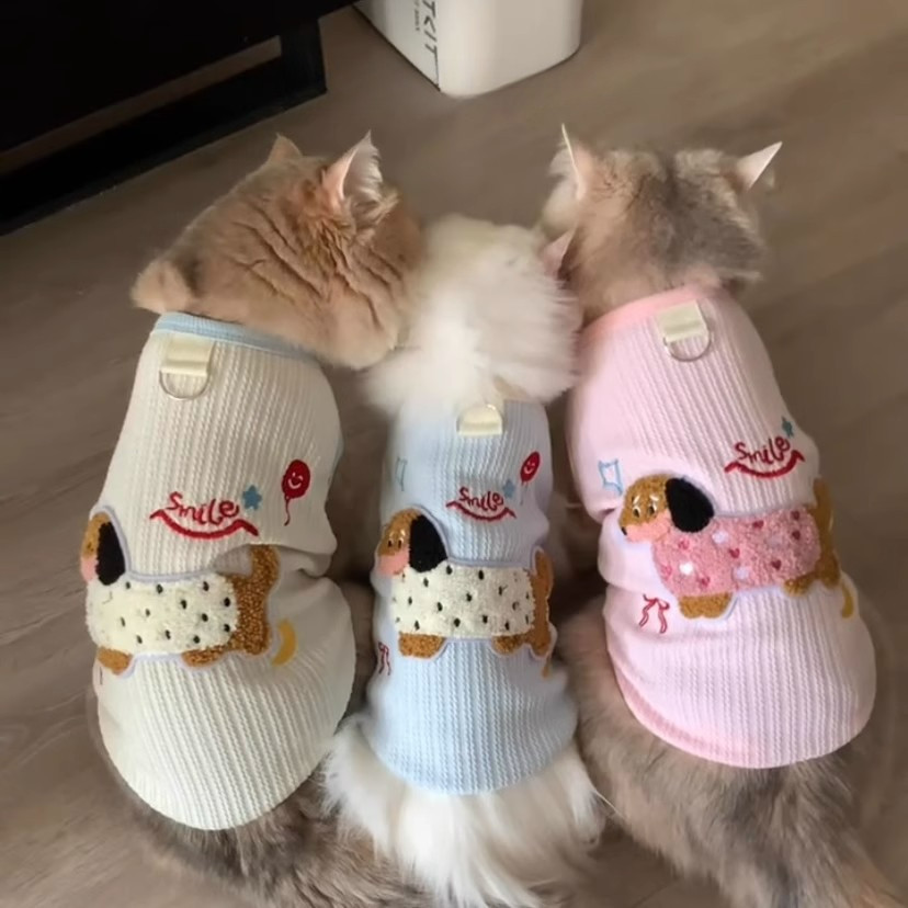 เสื้อเกราะสัตว์เลี้ยงสไตล์อินสตาแกรม มีสายจูงในตัว ชุดน่ารักสำหรับน้องหมาและน้องแมว