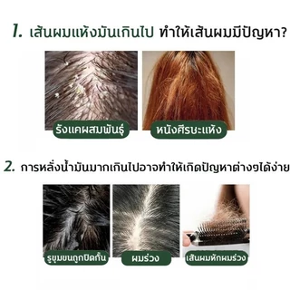 500MLแชมพูขิง แชมพูแก้ผมร่วง แชมพูปลูกผมดก แชมพูขิงเพียว แชมพูสมุนไพร สระผมแก้ผมร่วงสูตรแก้ปัญหาผมร่วง ผมบาง ปลูกผม เร่ง