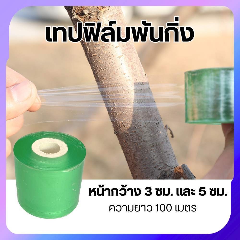 เทปยืดพันกิ่ง เทปฟิล์มพันกิ่ง หน้ากว้าง3ซม. และ 5ซม. ชนิดไม่มีกาว ยืดได้ ไม่ขาดง่าย สำหรับตอนกิ่ง