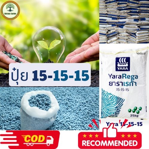 ปุ๋ย 15-15-15 - ช่วยให้พืชออกยอดเร็วและติดผล เพิ่มผลผลิต