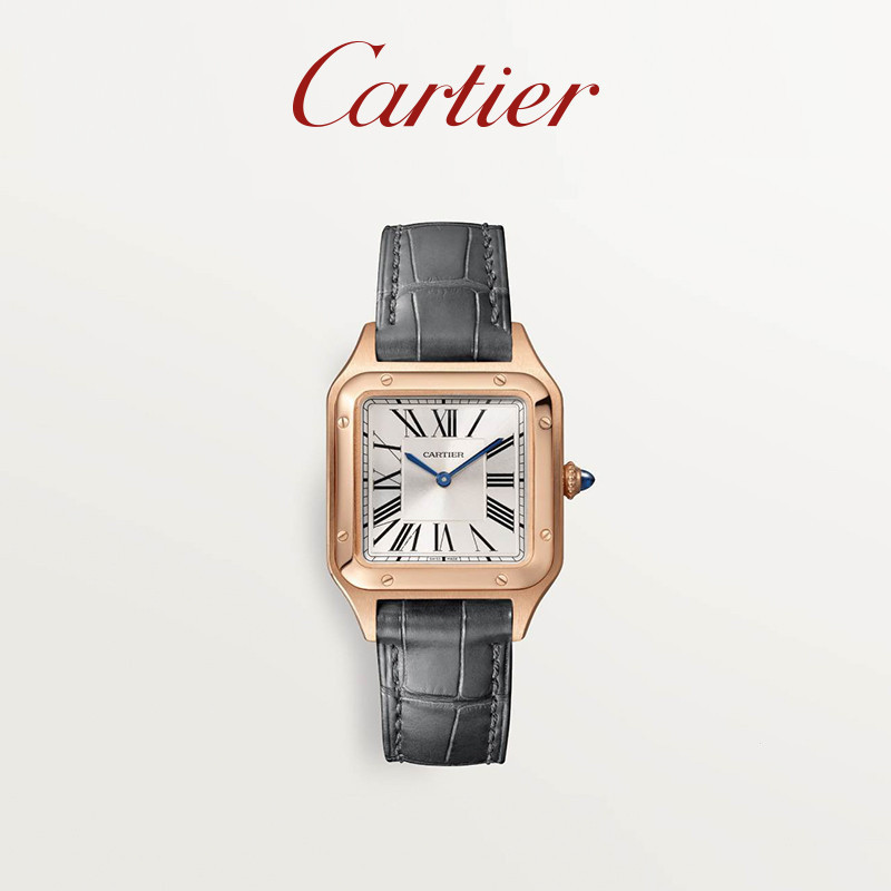 Cartier Cartier Santos-Dumont Series Watch นาฬิกาสายหนังโรสโกลด ์