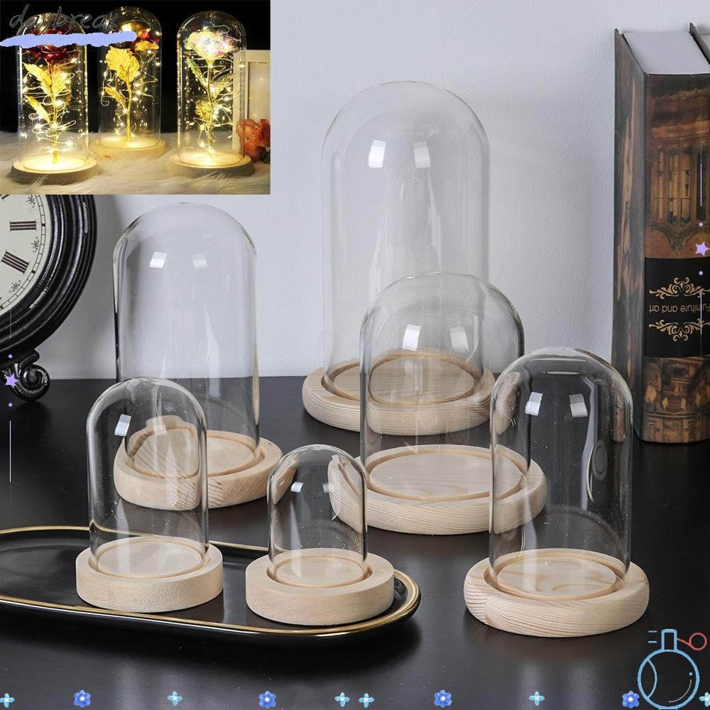 Daybereak แก้ว cloche Terrarium โต๊ะไฟนางฟ้าแจกันแก้ว Terrarium โหลดอกไม้กล่องเก็บของ
