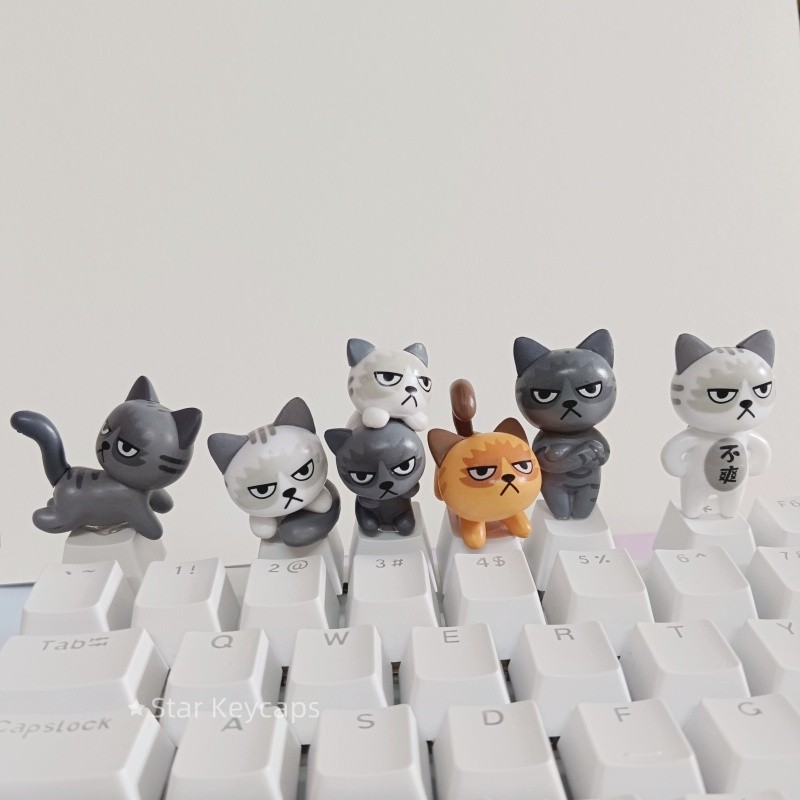 Diy Mechanical Keyboard Keycaps 3D การ์ตูนแมวส่วนบุคคล Keycaps Handmade Key Caps สําหรับ Cherry Profile