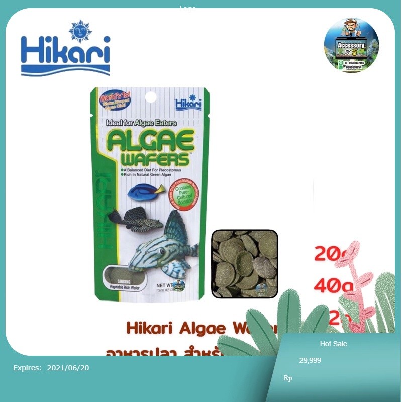 Hikari Algae Wafer อาหารปลา สำหรับปลากินพืช กินตะไคร่น้ำ ปลาแพะปลาหมู ชนิดแผ่นจมน้ำ