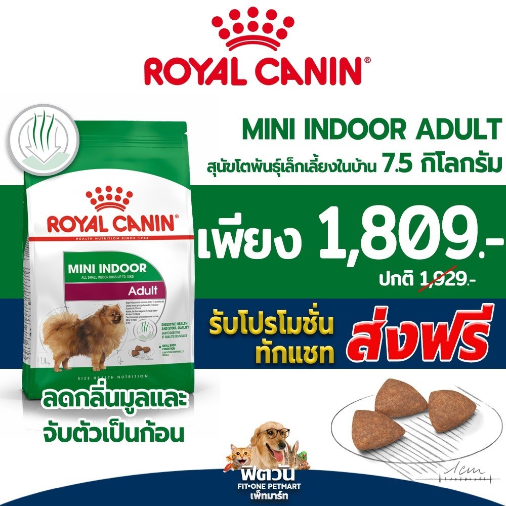 อาหารสุนัข ROYALCANIN Mini Indoor ADULT สุนัขพันธุ์เล็ก ขนาด 7.5 Kg{อาหารสุนัขเม็ด}