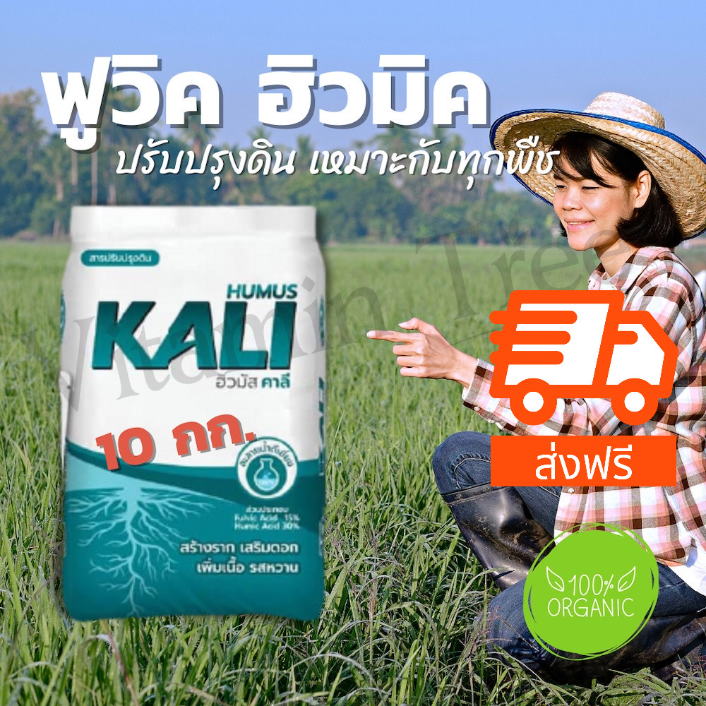 [ส่งฟรี] สารอินทรีย์สกัด ฮิวมิค ฟูลวิก เพื่อการฟื้นต้น สร้างดอก ขยายผล สามารถใช้ได้กับพืชทุกชนิด ช่วยปรับปรุงดิน ฮิวมัส