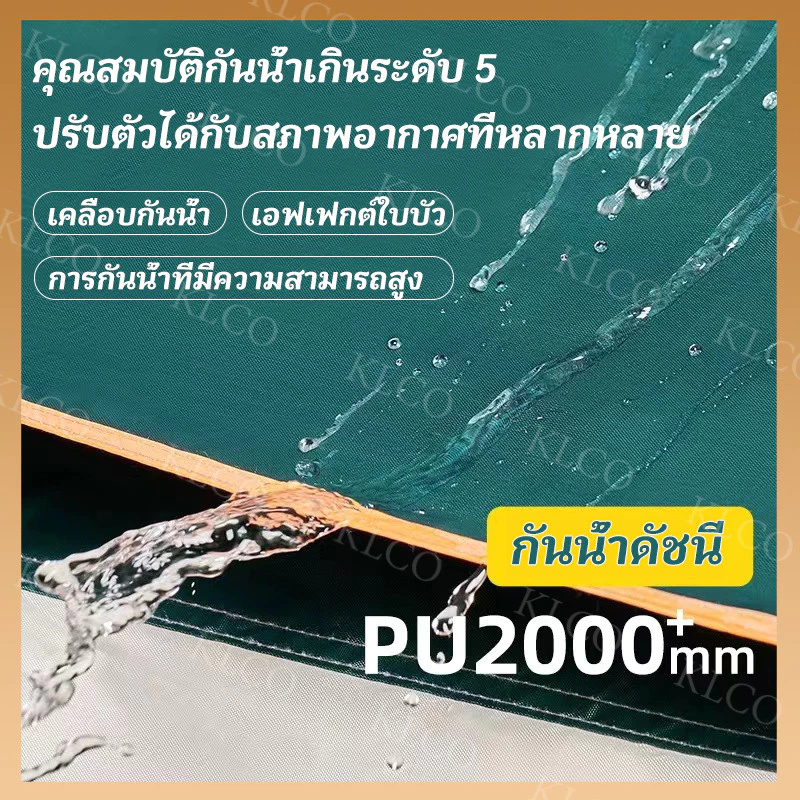 เต็นท์กางอัตโนมัติ เต็นท์แคมป์ปิ้ง เต็นท์นอน thumbnail 6