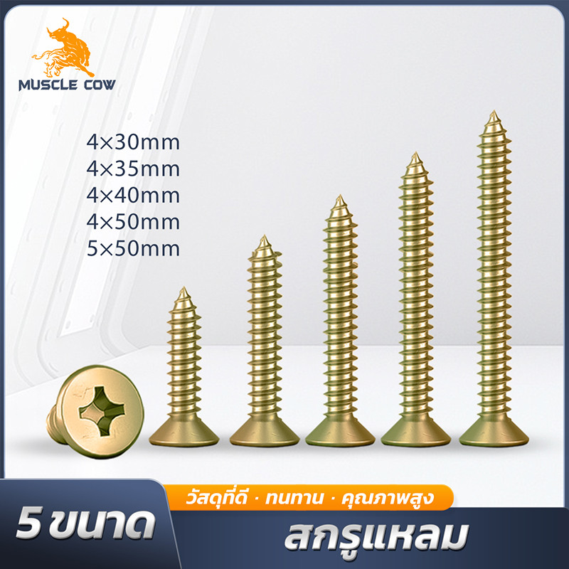 MUSCLE COW สกรูเกลียวปล่อยสีทอง ชนิดหัวแบน 5 ขนาดให้เลือก