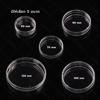 จานเพาะเชื้อ พลาสติก จานพร้อมฝาครอบ (10คู่/แพ็ค) Disposable Plastic Petri Dishes มีให้เลือก 5 ขนาด