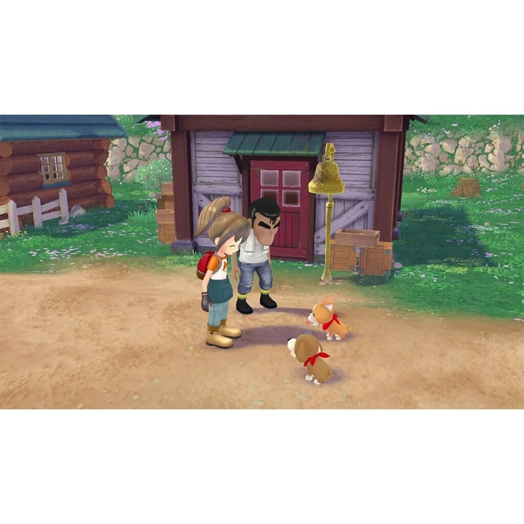 (พร้อมส่ง) PS5 STORY OF SEASONS A WONDERFUL LIFE (มือ1)