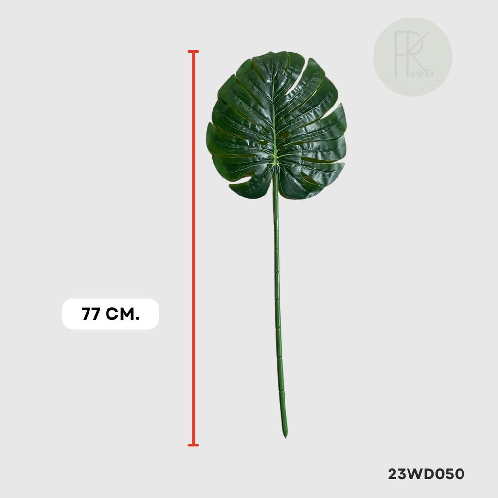 ใบมอลเดี่ยว ความยาว 77 cm. หน้าใบ 27*30 ต่อ 1 ก้าน - รูปที่ 4