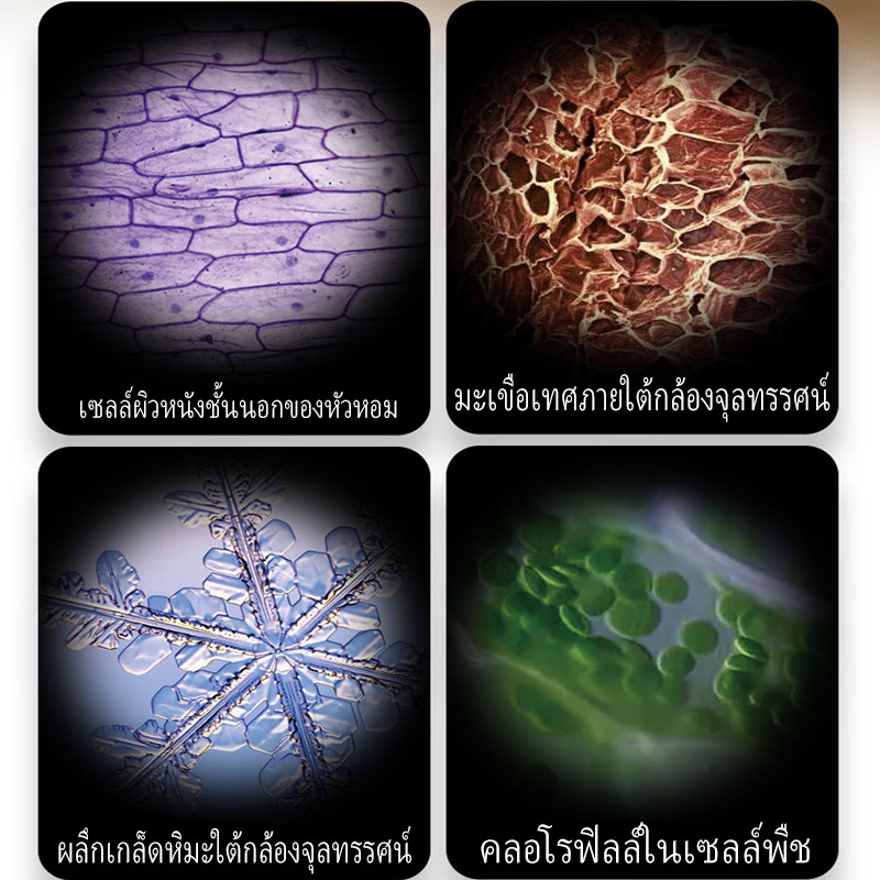 200-1200Xกล้องจุลทรรศน์ กล้องจุลทรรศน์สำหรับเด็กทางชีวภาพ LED เด็กของเล่นเสริมพัฒนาการ ระบบจ่ายไฟคู่ - รูปที่ 6