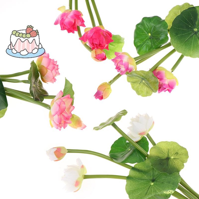 [Sep] ดอกบัวจําลองดอกไม้ประดิษฐ์ Water Lily Micro ภูมิทัศน์พืชตกแต่งบ้าน .