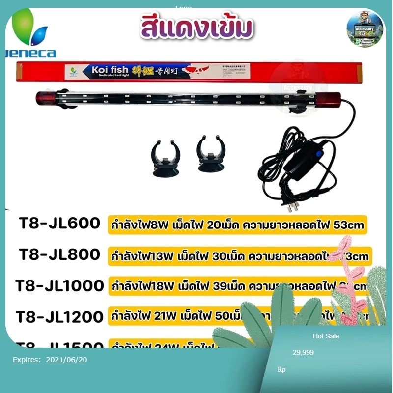 หลอดไฟใต้น้ำJeneca T8 มีหลากหลายขนาดเหมาะสำหรับเลี้ยงปลาสวยงามทุกชนิด