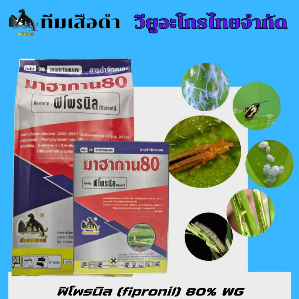 #ฟิโพรนิล 80% เม็ด ขนาด 100 กรัม กำจัดปลวก เห็บ หมัด มด หนอนเจาะ หนอนกอ #ร้านปุ๋ยดีเด่น