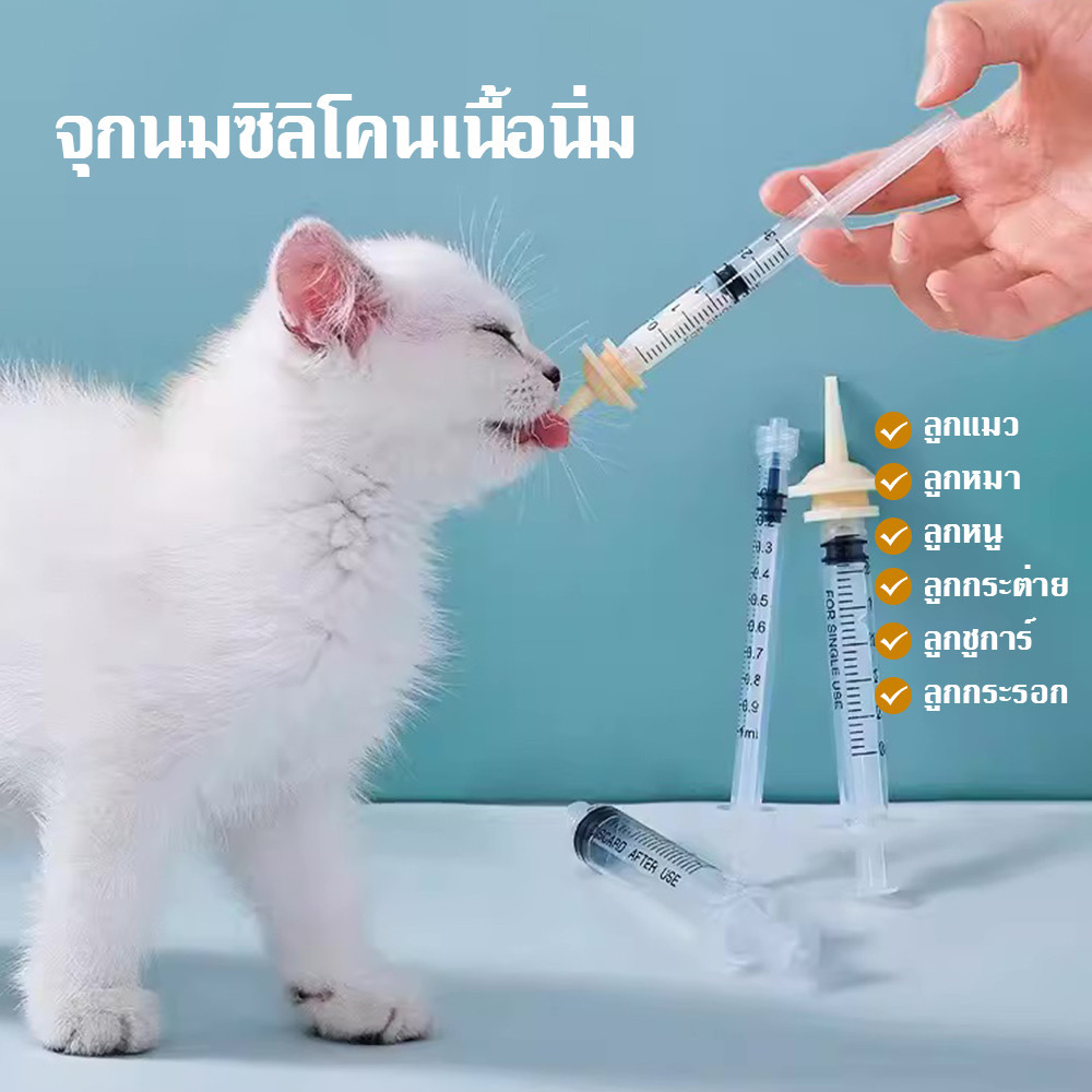 การให้อาหารลูกแมว จุกนม+เข็มฉีดยา💉 1cc 3cc