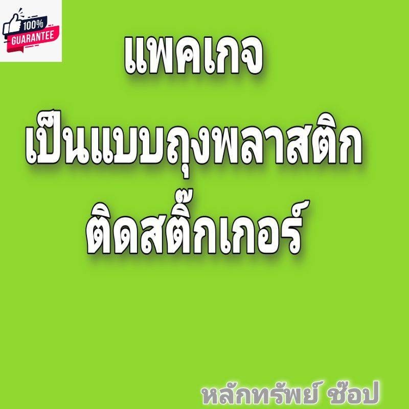 PP-3815 ชุดข้อต่อทางน้ำทิ้ง ใช้ทดแทน VP-3815 ชุดข้อต่อทางน้ำทิ้ง American Standard