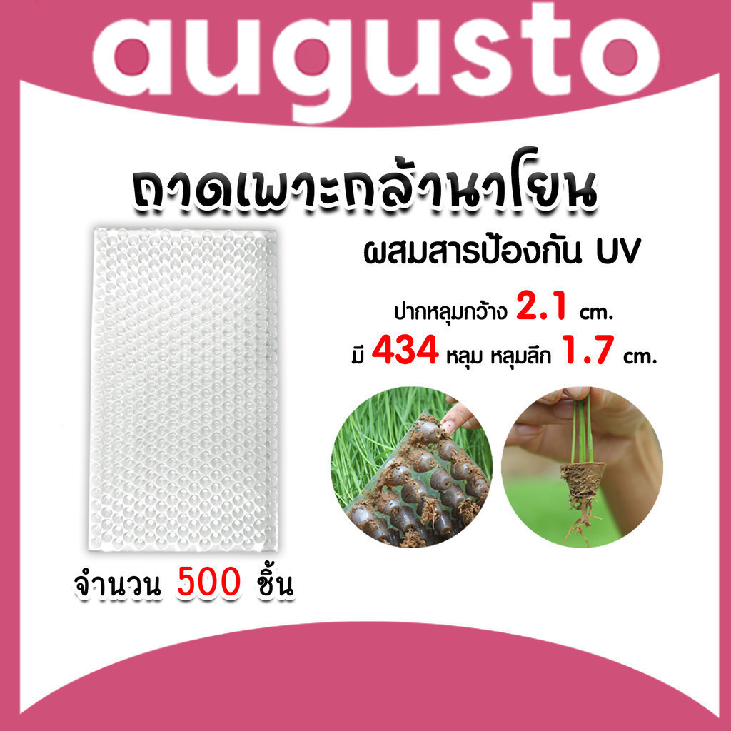 ถาดเพาะกล้านาโยน 434 หลุม แพ็ค 500 ชิ้น ถาดเพาะกล้า ถาดเพาะนาโยน เพาะกล้านาโยน กล้านาโยน ถาดนาโยน ถา