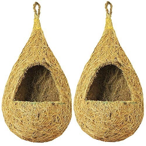 เลิศ.. กลดก้องรังนกแขวนใยมะพร้าว