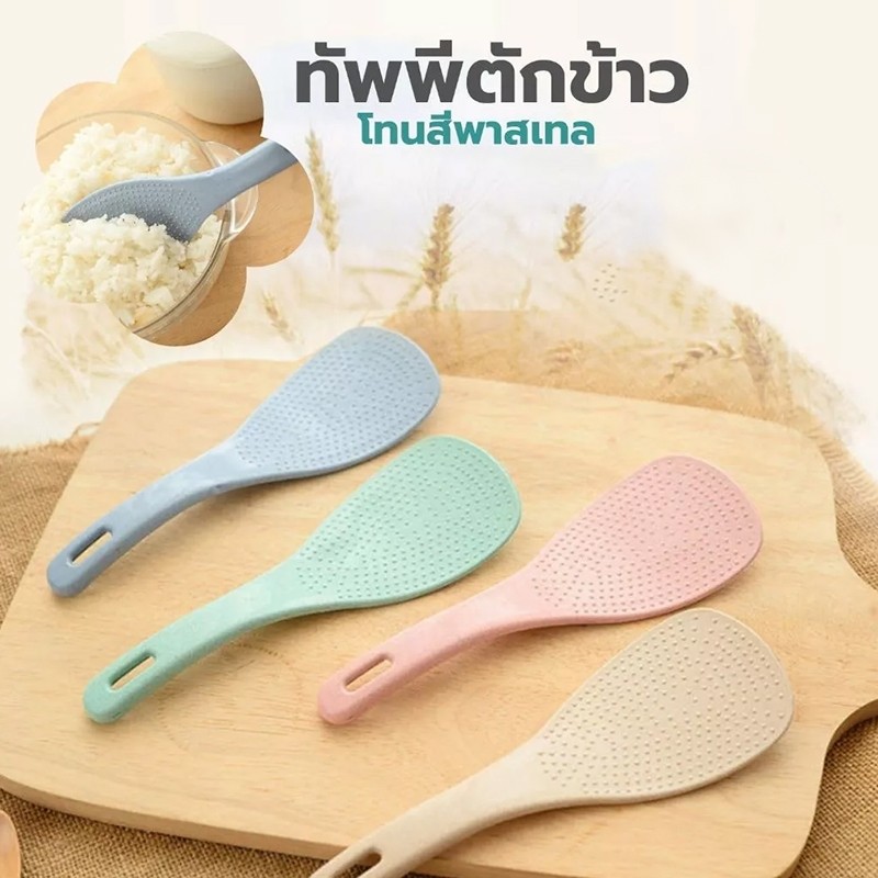 พร้อมส่ง ใน ช้อน ทัพพีตักข้าว สีพาสเทล รุ่นคลาสสิค รูปที่ 2