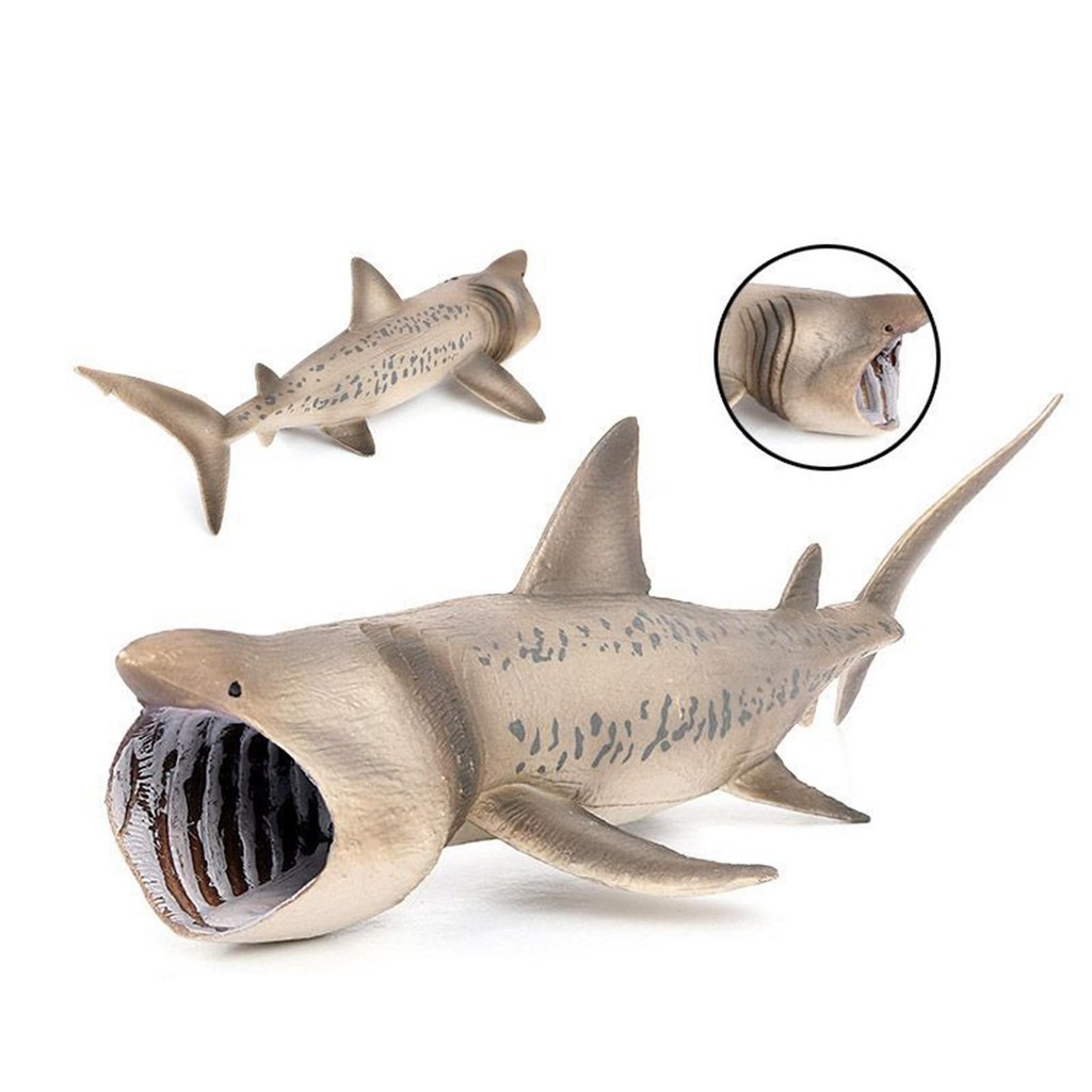 Basking Shark รุ ่ นของเล ่ น Shark ของเล ่ นสัตว ์ สมจริง Shark ของเล ่ น Figurines
