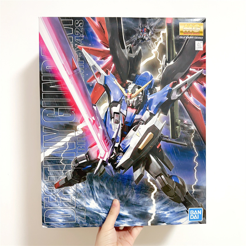 [Boutique] Bandai MG 1/100 DESTINY Gundam with Bracket Gundam SEED DESTINY Assembly Model