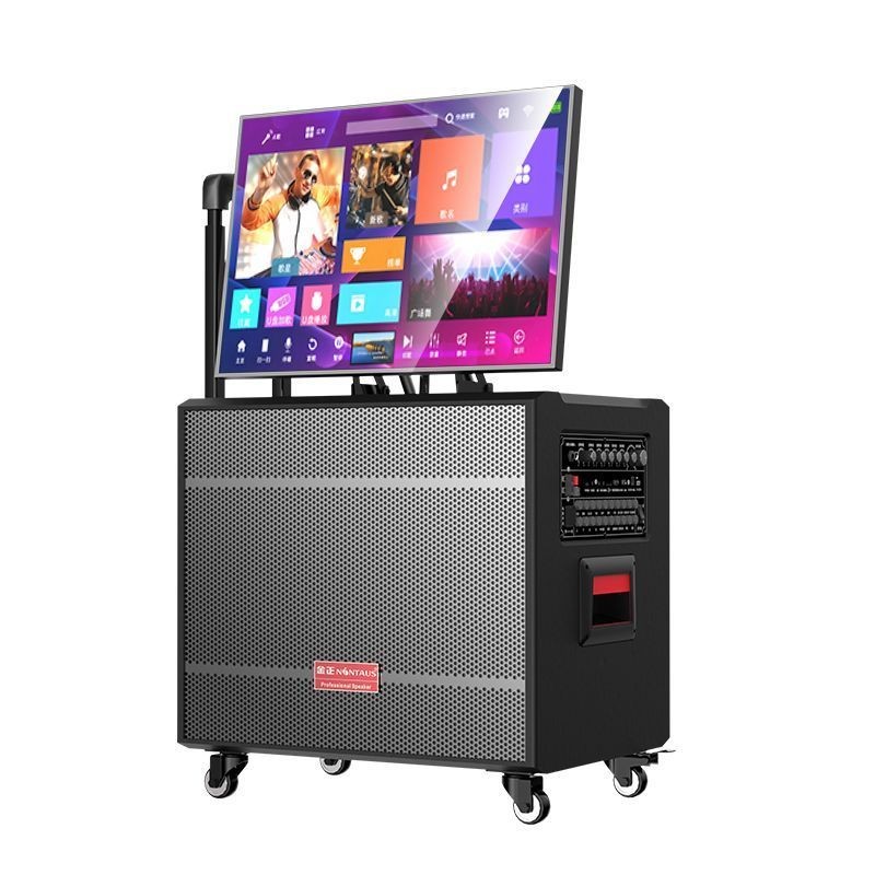Jinzheng Square Dance Audio Display Outdoor Mobile Karaoke Pull Rod Speaker Box Family KTV Karaoke M