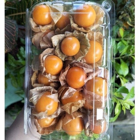 ล็อตแรกของปี เคพกูสเบอ์รี่ ผลไม้สดใหม่ เคพกูสเบอร์รี่โครงการหลวง ขนาด 300 กรัม ส