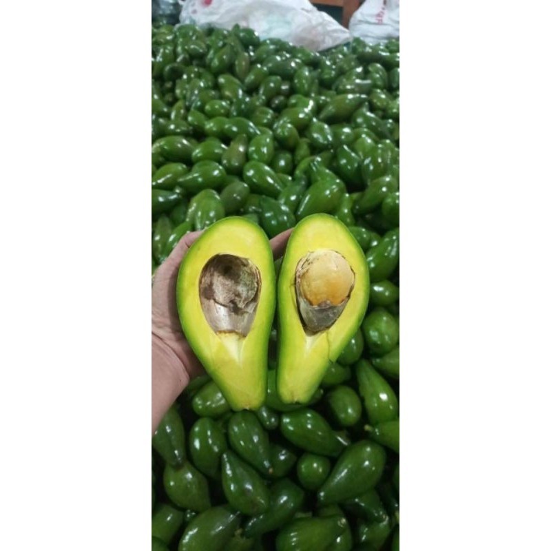 สด ใหม่  จาก ฟาร์ม ทุกวัน  อโวคาโด นำเข้าเวียดนาม ขายเป็นกิโล - รูปที่ 5