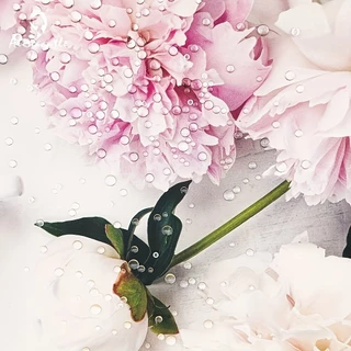 เล ็ บอุปกรณ ์ ตกแต ่ งเล ็ บแก ้ วคริสตัลรอบหยดน ้ ําโปร ่ งใส Dewdrops DIY ขนาดผสม KOUDAN