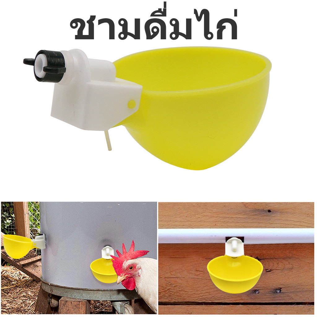 5 ตัว ถ้วยน้ำดื่มไก่อัตโนมัติ เครื่องให้อาหารไก่พลาสติก อ่างน้ำนกแก้ว เครื่องทำน้ำสัตว์ปีก