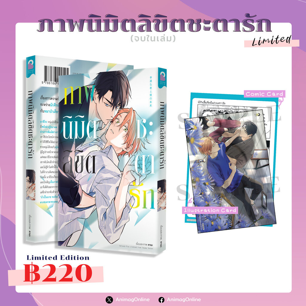 Animag ภาพนิมิตลิขิตชะตารัก COMIC (เล่มเดียวจบ) Limited Edition