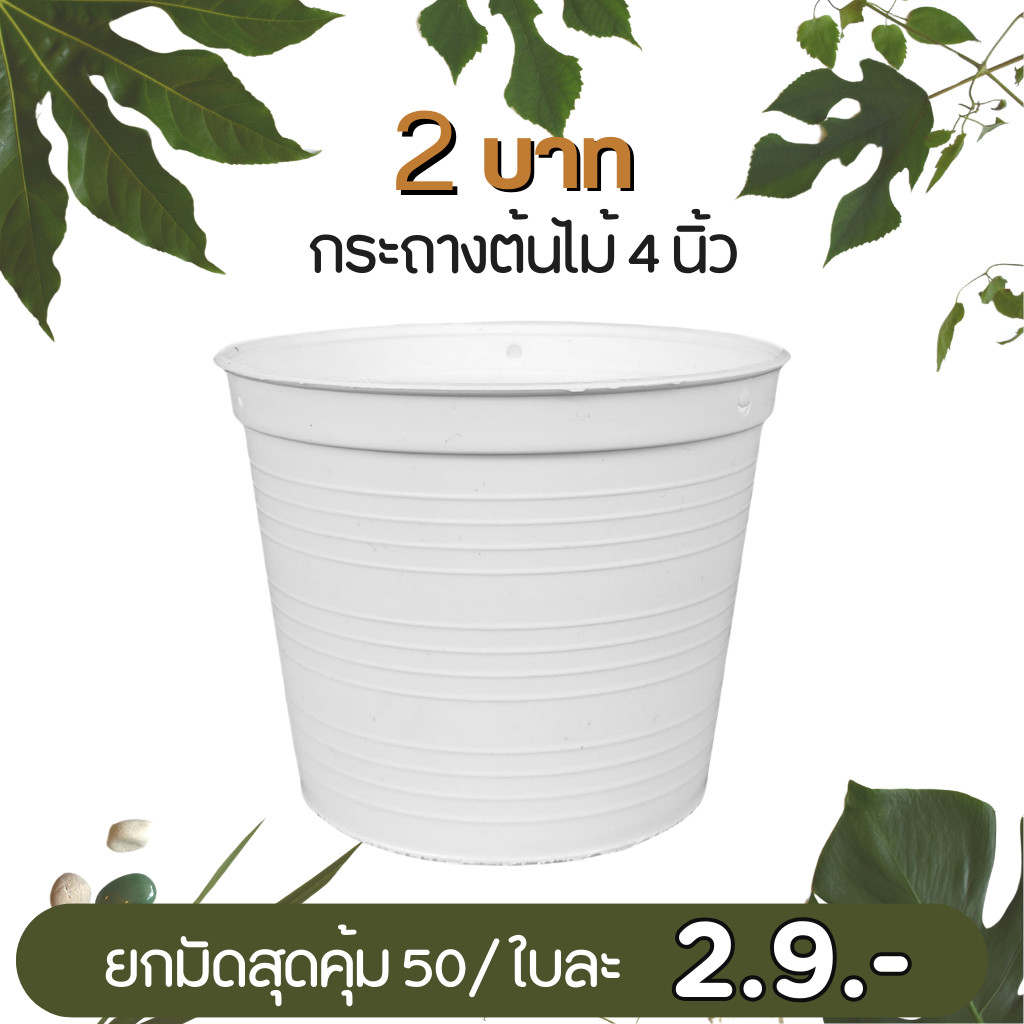 กระถาง กระถางทรงถ้วย กระถางแขวน ขนาด เบอร์ 8 7 นิ้ว สีดำ ยกมัด 50 ใบ