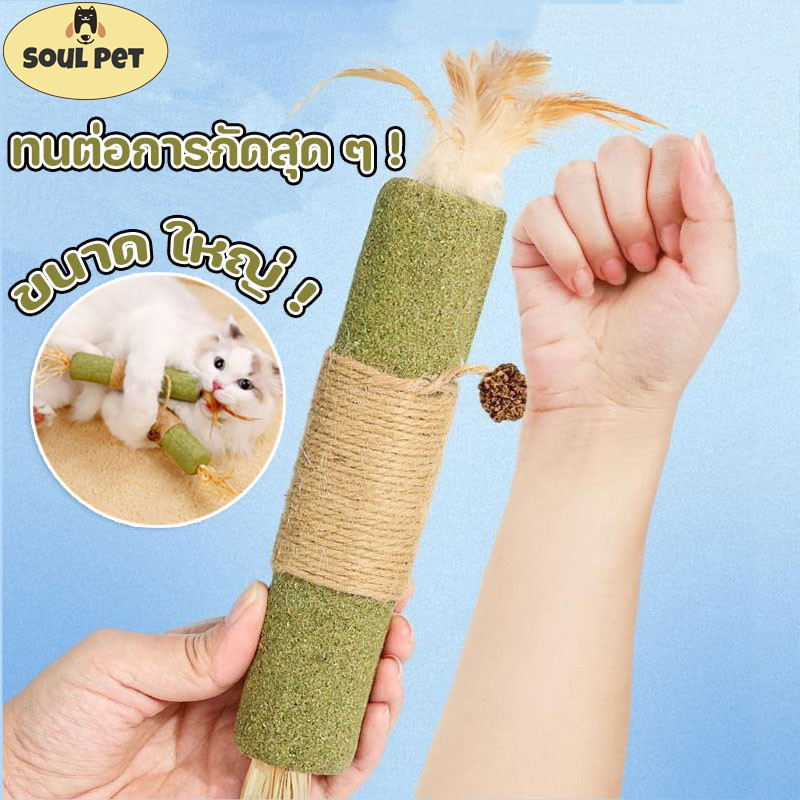 COD ไม้แปรงฟันแมว 30/21CM ก้านมาทาทาบิ ไม้ฟันหญ้าแมว ของเล่นแมว ไม้ฟันหญ้าแมว