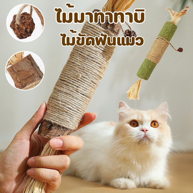 อันใหญ่มาก (38cm) ไม้แมวเมา ขัดฟันแมว มาทาบิ สำหรับแมว ไม้ขัดฟัน ก้านมาทาทาบิ ไม้แปรงฟันแมว