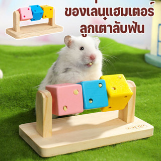 ของเล่นแฮมเตอร์ ลูกเต๋าลับฟัน ของตกแต่งกรง ลูกกลิ้งแฮมเตอร์