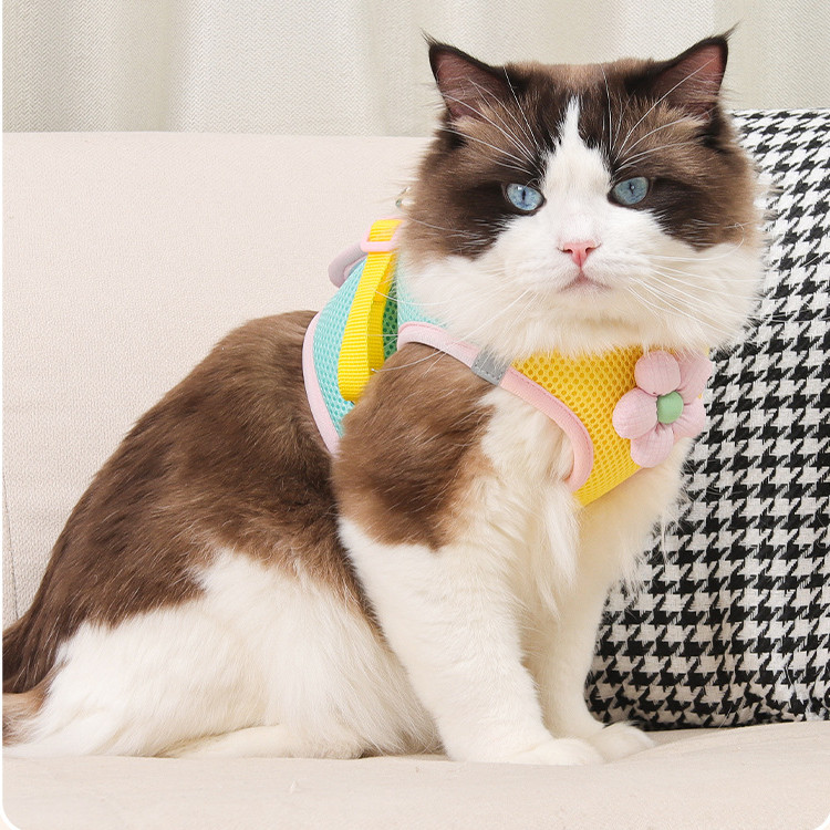 [Muhsinpet] สายรัดหน้าอกแมว Dopamine สายรัดหน้าอกสไตล์เสื้อกั๊ก สายจูงสุนัขแมว/เล็ก