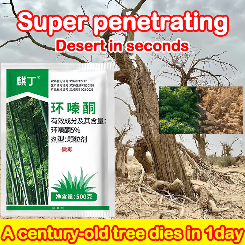 ไม้เก่าศตวรรษตายใน 1 วันนักฆ่าต้นไม้ การกําจัดวัชพืชที่มีประสิทธิภาพ Racun rumput ถอดต้นใหญ่และไม้ไผ