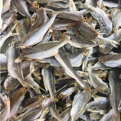 พร้อมส่ง!! ปลาจวด (1 กิโลกรัม) ปลาจวดแดดเดียว ปลาจวดแห้ง ปลาจวด ราคา ปลาจวดทะเล ปลาจวดตากแห้ง อาหารทะเลแห้ง