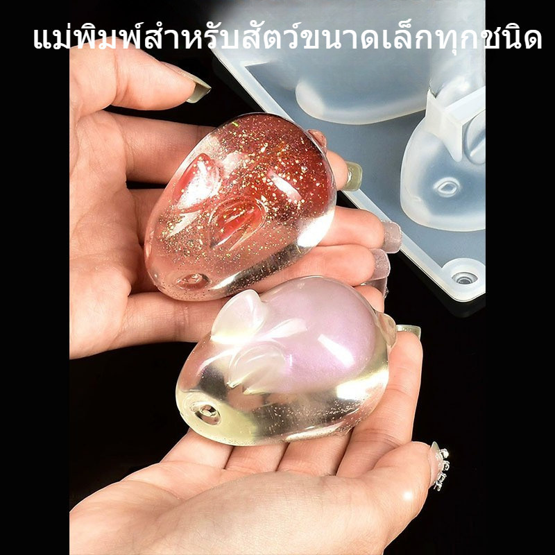 รูปภาพ 5