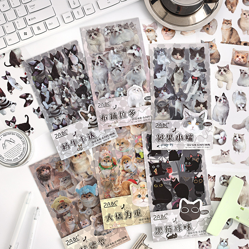 (6 ชิ้น/แพ็ค) Meow Star Call สติ๊กเกอร์ PET กันน้ําน่ารัก Diy สติ๊กเกอร์ตกแต่งโน๊ตบุ๊ค Packdie-cutting