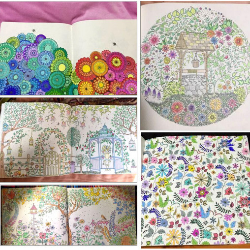 doti สมุดระบายสี Secret Garden หนังสือหัดวาดรูป สำหรับผู้ใหญ่ Colouring Book ราคา ถูกที่สุด ดีลบีเคเค แกลเลอรีภาพที่ 8