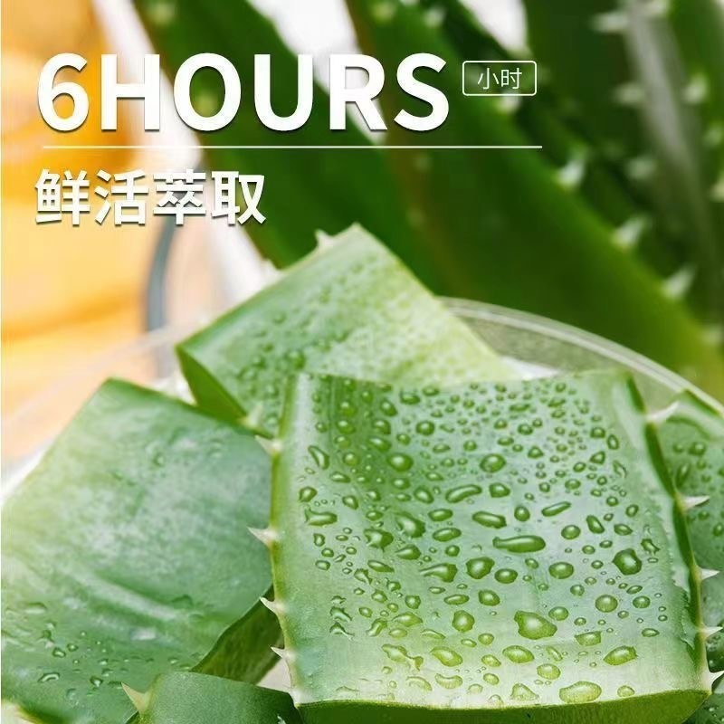 THE SAEM เจลว่านหางจระเข้ เจลว่านหางจระเข้สดให้ความชุ่มชื้นและซ่อมแซมผิว - รูปที่ 7