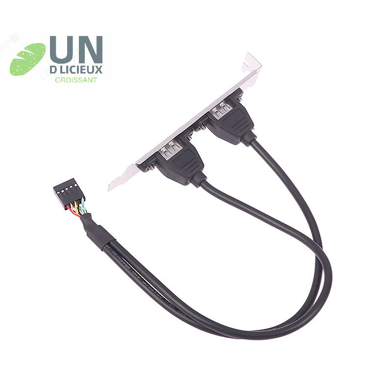 ดี 30 ซม.สีดํา 2 พอร์ต USB 2.0 เมนบอร์ดแผงด้านหลังขยายไปยัง IDC 9 พินเมนบอร์ดสาย USB อะแดปเตอร์โฮสต์ได้ดี