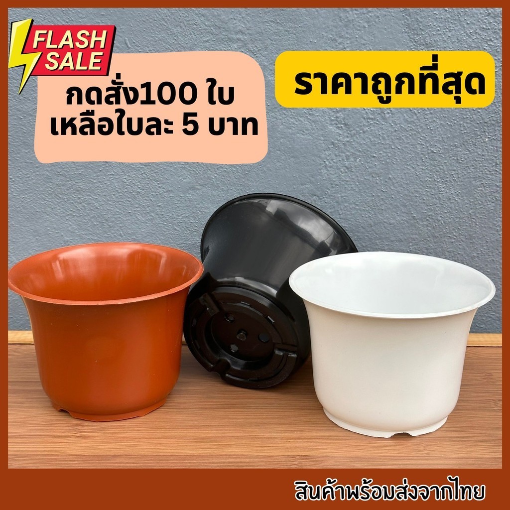กระถางถ้วยชา5นิ้ว ถาดรองกระถางถ้วยชา กระถางปากกว้าง กระถาง5นิ้วทรงเตี้ย