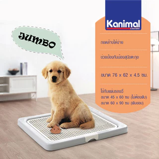 Kanimal Dog Toilet ถาดฝึกฉี่สุนัข ถาดรองซับ ห้องน้ำสุนัข รุ่นเปิดฝาบน สำหรับสุนัขพันธุ์กลาง-ใหญ่ Size M,L,XL
