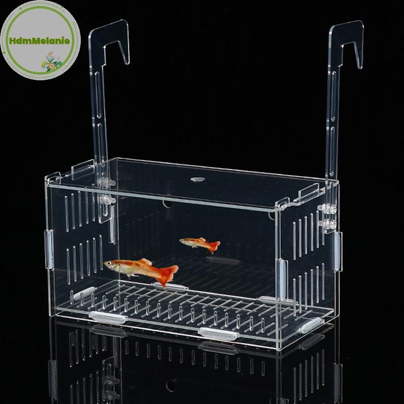 Hdmm ถังปลาขนาดเล็กทอด Breeding กล่องอะคริลิคใส Fish Breeding กล่องแยก Hatchery Divider วางไข่ Hatching Room อุปกรณ์ปลา TH