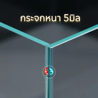 ตู้ปลาตู้กระจก LID ใสพิเศษ มุมหน้าตรง เหมาะสำหรับเลี้ยงปลาสวยงามทุกชนิด เหมาะสำหรับจัดตู้ไม้น้ำ
