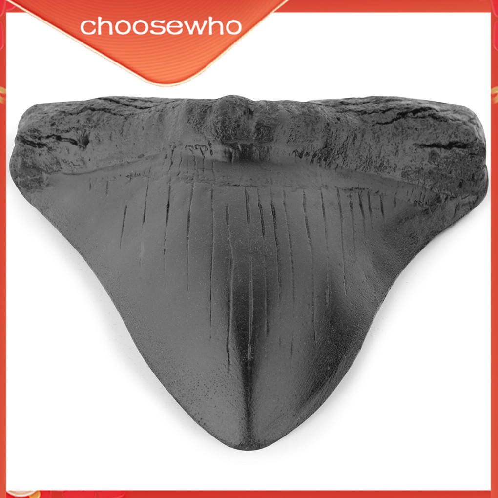 【Choo 】 ฟันฉลามเรซิ ่ นทําความสะอาดง ่ ายสมจริงในรูปร ่ างพิเศษฟอสซิลฟัน Megalodon สําหรับการเรียนรู ้ ตกแต ่ งของขวัญฮาโลวีนสีดํา
